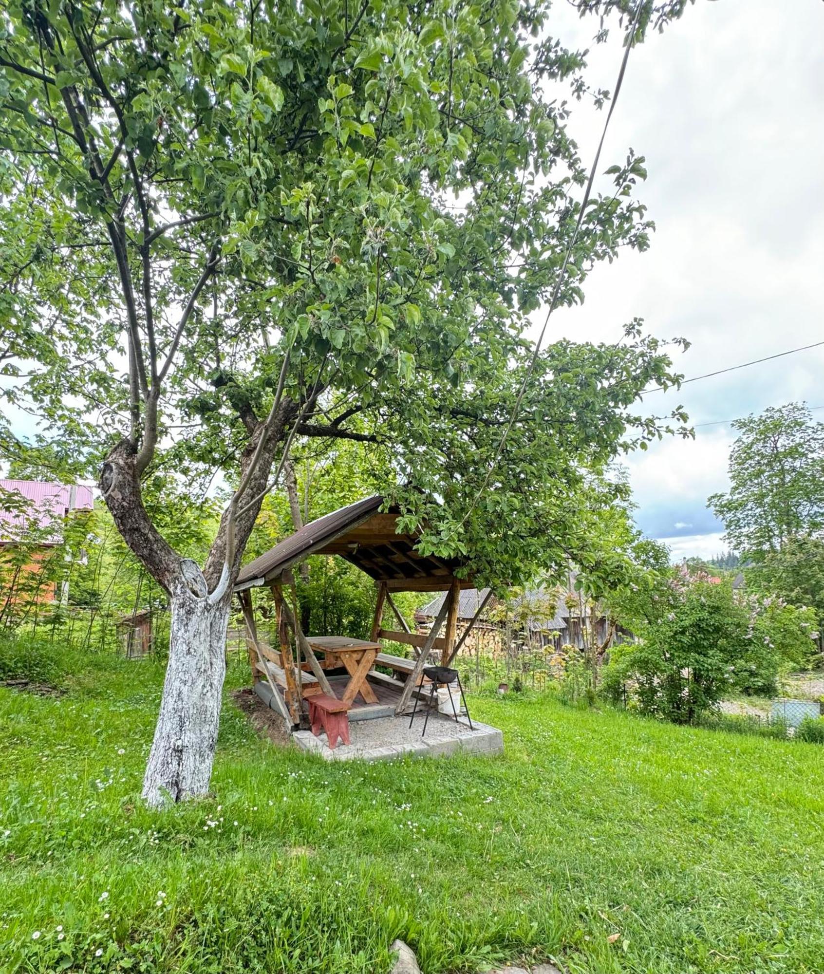 Hotel Dacha PODOBOVETS 127 Exterior foto