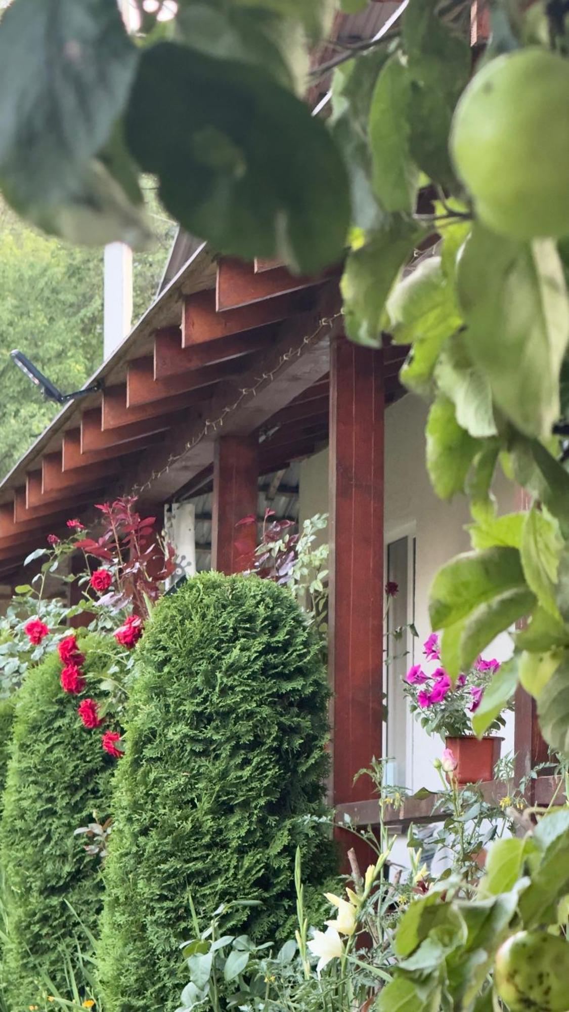 Hotel Dacha PODOBOVETS 127 Exterior foto